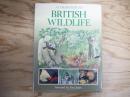 A Companion to British Wildlife