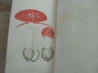 普通有毒植物誌