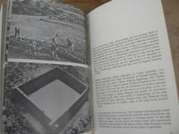 THE ANCIENT CIVILIZATION OF JAPAN