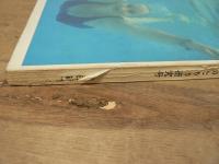 アサヒカメラ 50巻 8号 通巻387号 (1965年7月臨時増刊)