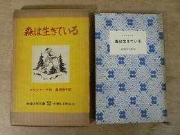 森は生きている : 十二月