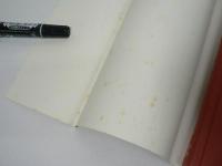 [洋書] Flight of the Wild Gander : Selected Essays 1944-1968