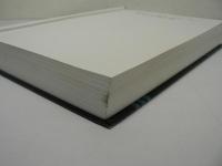 [洋書] Markov Processes : An Introduction for Physical Scientists