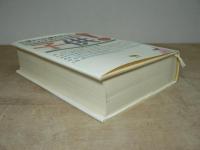 子供! : 10歳から15歳を中心に174人の子供たちが語る