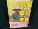 中国農民調査