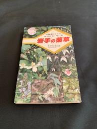 岩手の薬草 : 民間薬としての見分け方・用い方