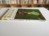 草むらの小さな友だち