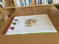 あのこ : おおた慶文・画集
