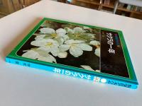 サクラの一年