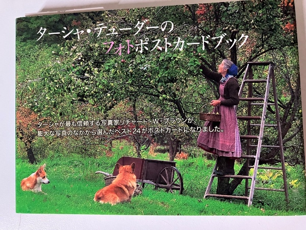ヘブライの神話 : 創造と奇蹟の物語(矢島文夫 著) / 一坪書店