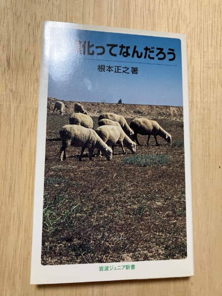 Amazon.co.jp: ヘブライの神話―創造と奇蹟の物語 (世界の神話 4