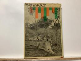 永遠のエルザ
