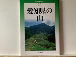愛知県の山