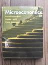 Microeconomics　（レビィットミクロ経済学　英語版）
