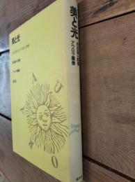 美と光 : 西洋思想史における光の考察