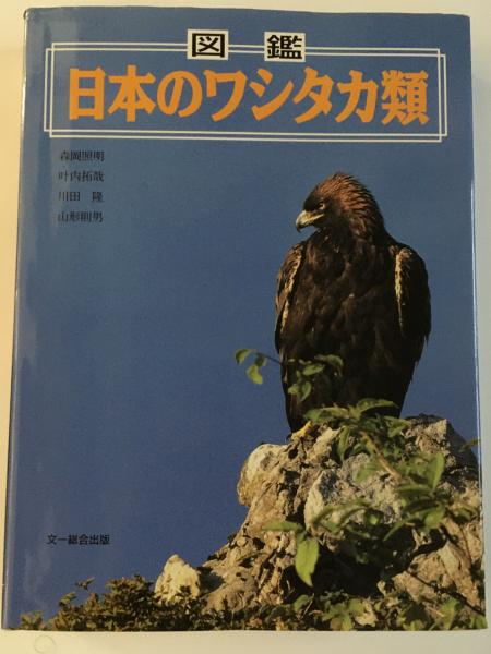大内宿 図鑑日本のワシタカ類
