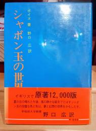 シャボン玉の世界