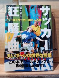 サッカー狂騒曲 : ワールドサッカーおもしろ話