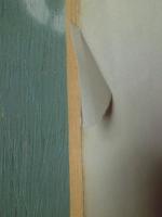 キャンピング・ガイド