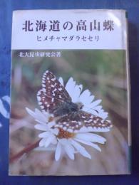 北海道の高山蝶 : ヒメチャマダラセセリ
