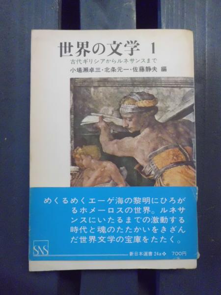 日本映画戦後黄金時代 全30巻揃(戦後日本映画研究会