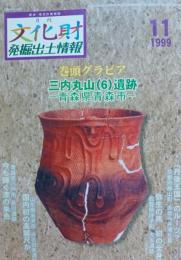 文化財発掘出土情報 : 歴史・考古の情報誌 　山内丸山遺跡