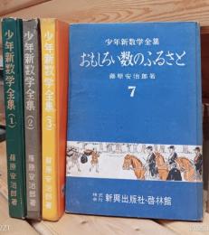 少年新数学全集