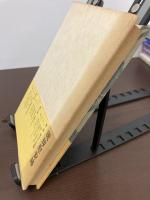 琉球慰安婦 : 天皇制下の闇の性