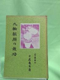 大輪朝顔の栽培