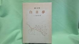 白日夢 : 画文集