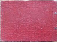 少年少女の科学雑誌　科学クラブ　第1巻　創刊号-第12号　12冊揃