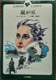 世界の文学　嵐が丘