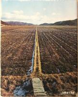 ロマンの旅　日本の伝説 2 東北Ⅰ