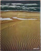 ロマンの旅　日本の伝説 14 山陰