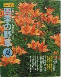 四季の野草　夏