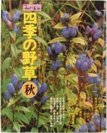 四季の野草　秋