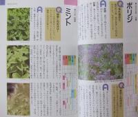 ハーブ&野菜