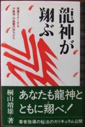 龍神が翔ぶ : 家運をよくする守護神・守護霊の持ちかた
