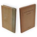 自然弁証法研究