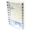 情報エネルギー化社会 : 現実空間の解体と速度が作り出す空間