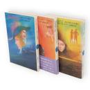 鉄仮面　上中下　全3冊