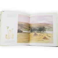 Beatrix Potter's art : paintings and drawings