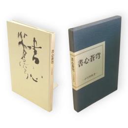 書心蒼穹