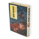 奇面城の秘密　少年探偵