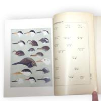 海産保護鳥類図説