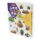 山野草の育て方&楽しみ方事典　決定版