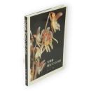 写真集　野生ランのかお