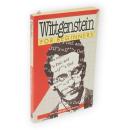 Wittgenstein for Beginners