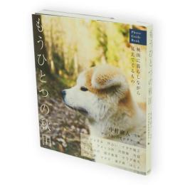 もうひとつの秋田