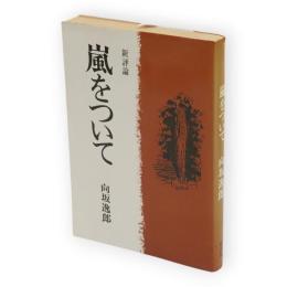 嵐をついて
